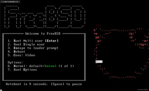 虛擬化與實體 FreeBSD UNIX系統(tǒng)在VMware上的安裝與建筑物電力系統(tǒng)安裝的對比