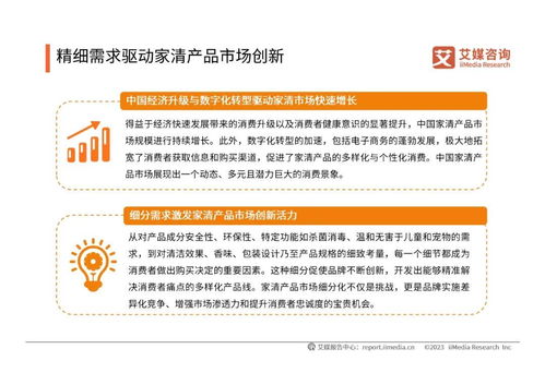 2024年中國家清產(chǎn)品消費(fèi)趨勢洞察與知識產(chǎn)權(quán)保護(hù)